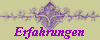 Erfahrungen